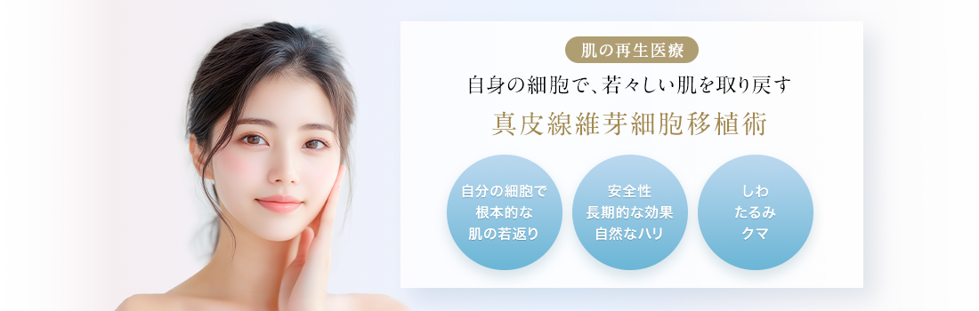 肌の再生医療 自身の細胞で、若々しい肌を取り戻す 真皮線維芽細胞移植術