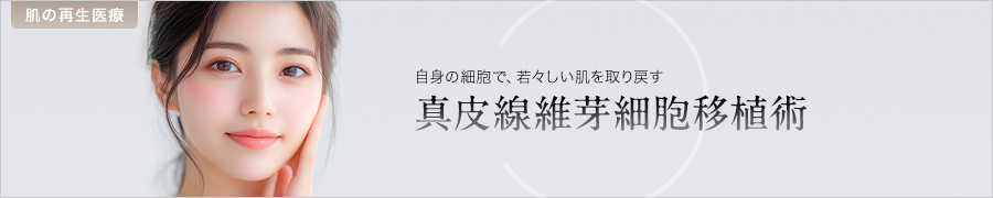 真皮線維芽細胞移植術