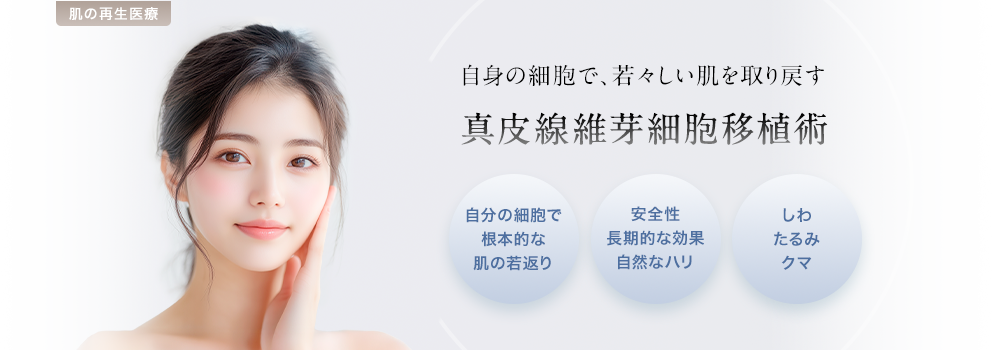 自身の細胞で、若々しい肌を取り戻す 真皮線維芽細胞移植術